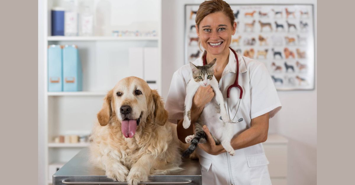 Types of Veterinary Care